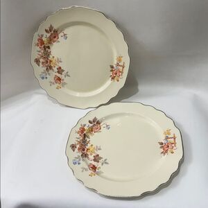 Lido WS George Canarytone Vintage Floral 9 1/2 Inch Dinner Plates Set 2 Made USA